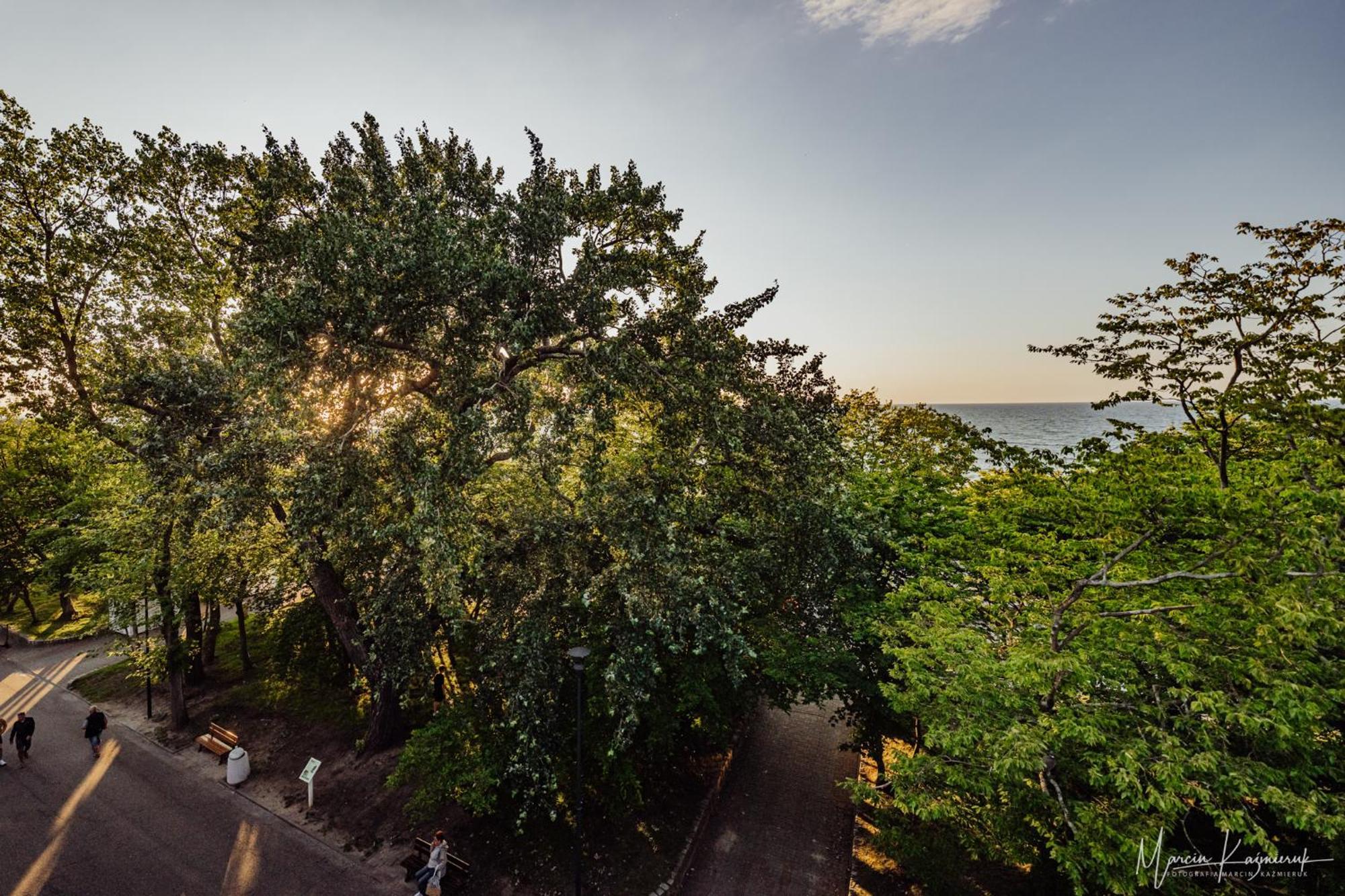 Bed and Breakfast Cristal Ustka Esterno foto